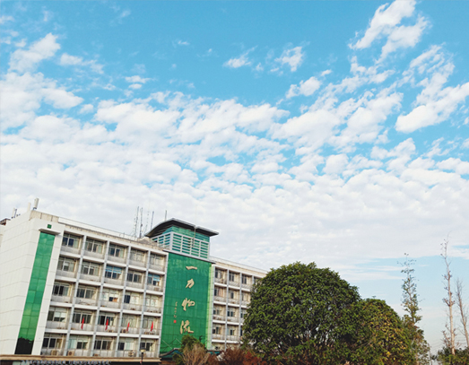 湖南诚恒工贸官网建设